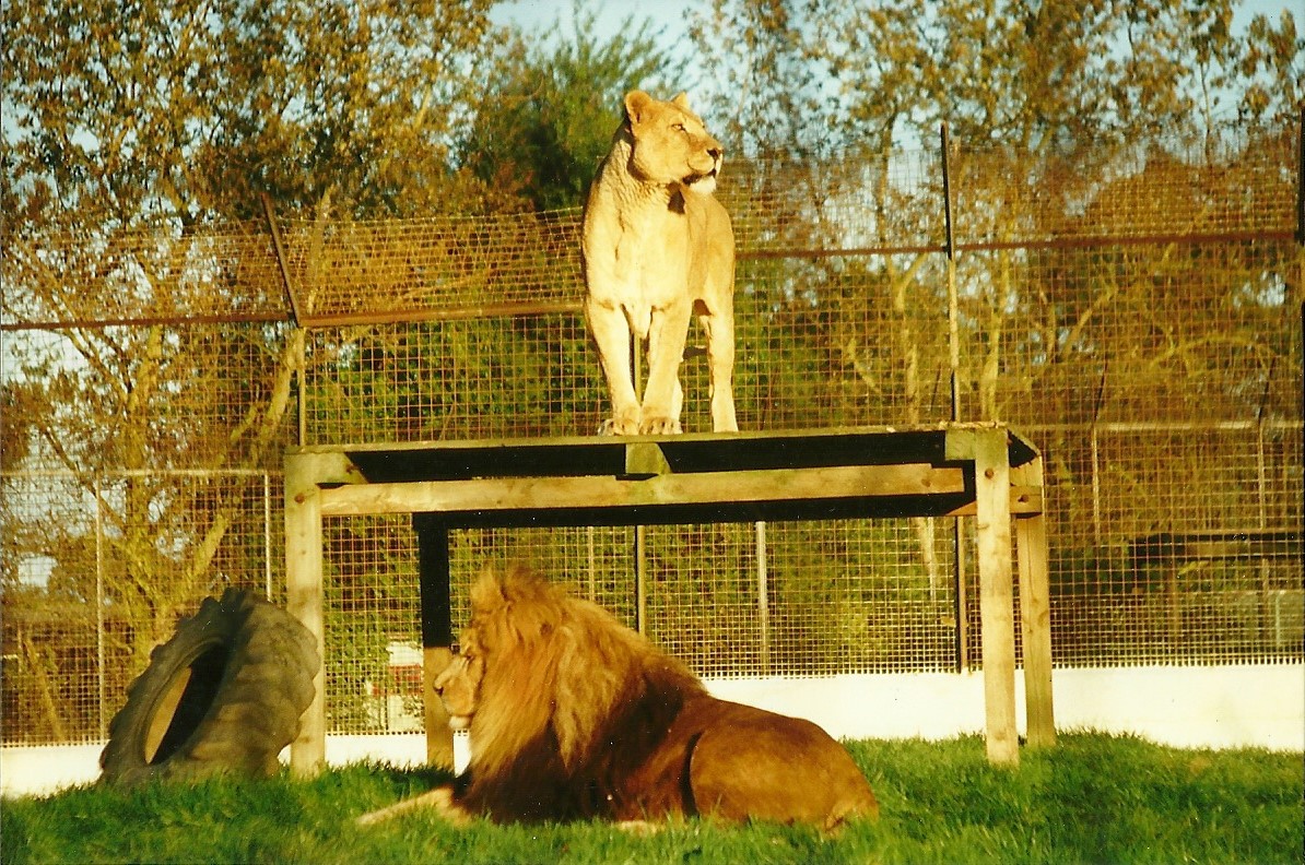 Rhoda and Carlon 10th October 1998