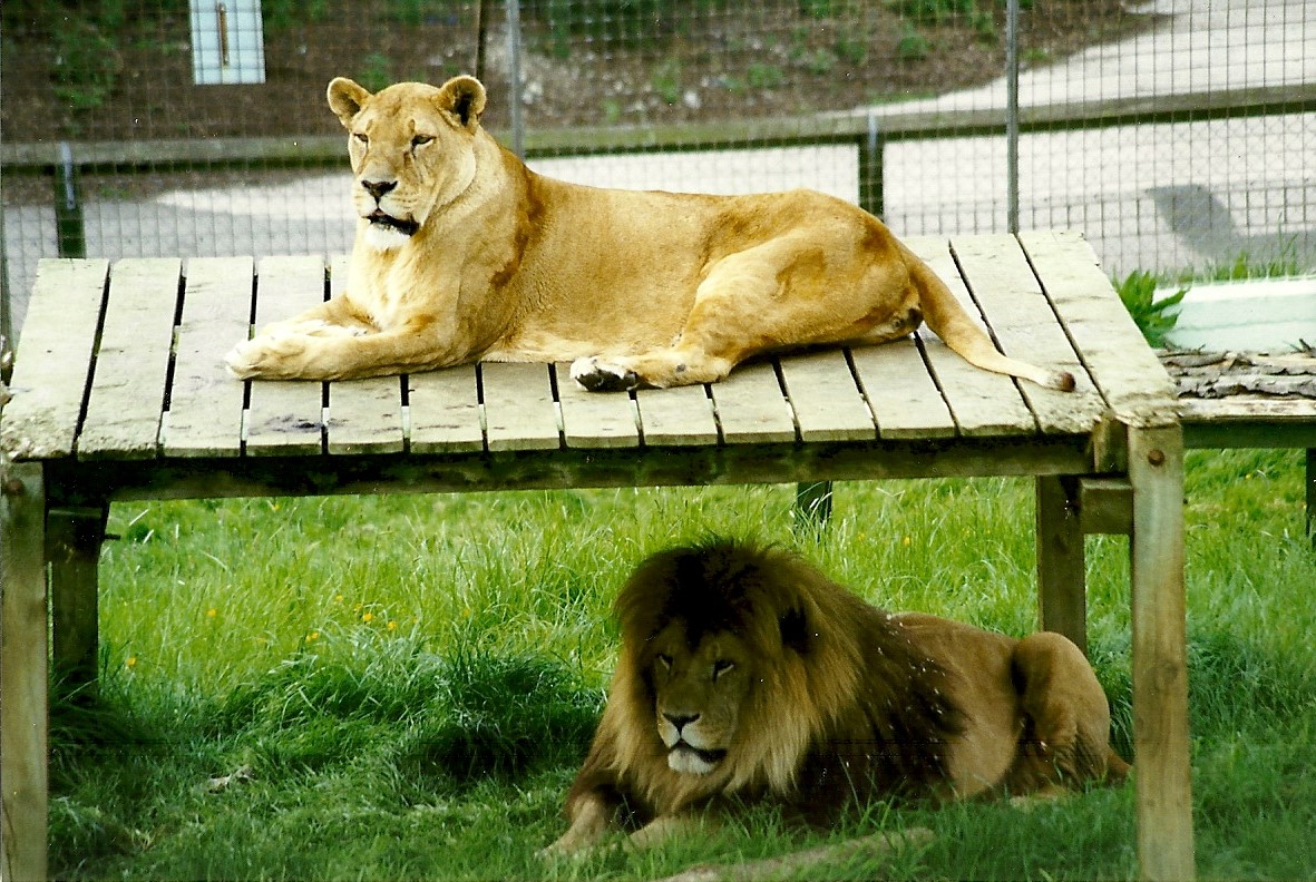 Rhoda and Carlon 5th June 1999