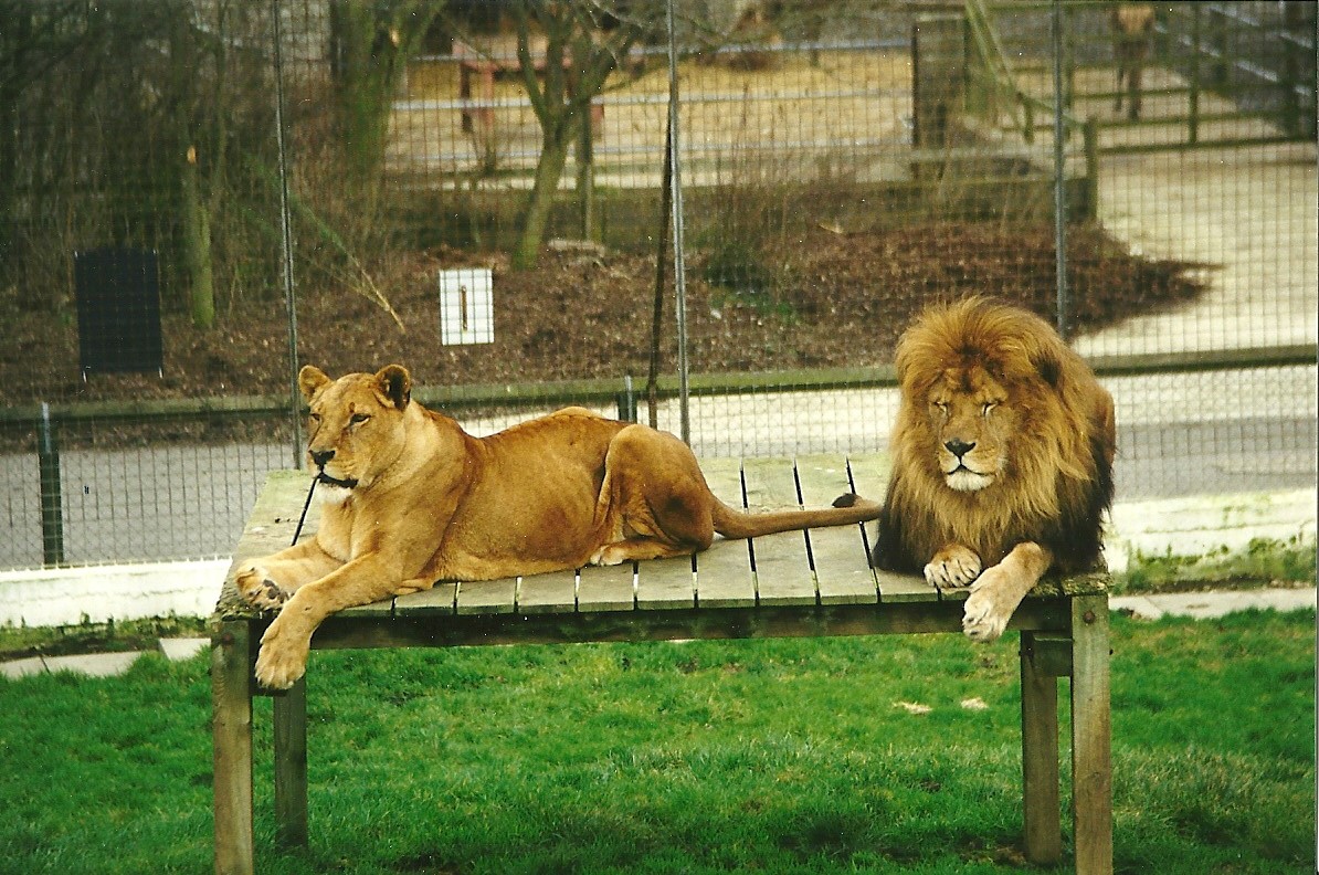 Rhoda and Carlon 6th February 1999