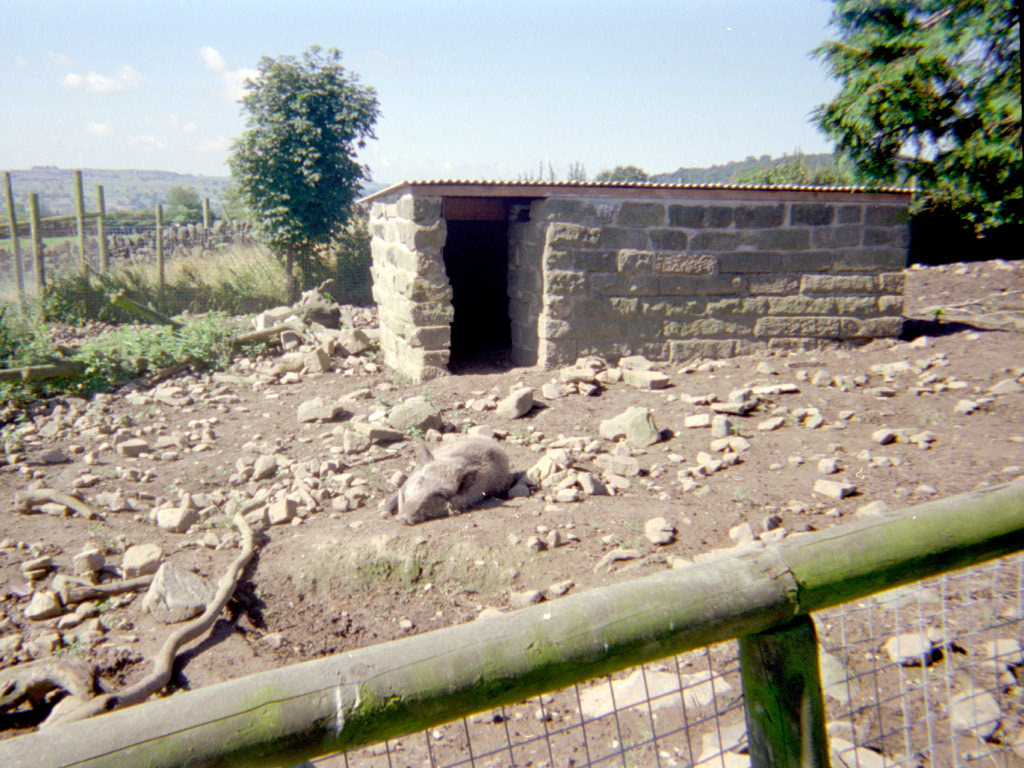 Riber Castle Wildlife Park - mid-1990s
