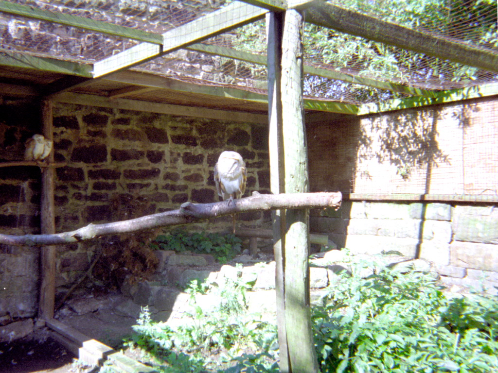 Riber Castle Wildlife Park - mid-1990s