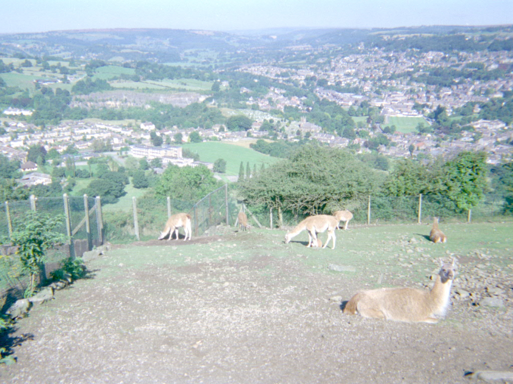 Riber Castle Wildlife Park - mid-1990s
