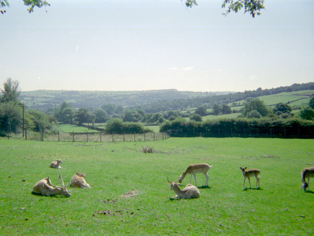 Riber Castle Wildlife Park - mid-1990s
