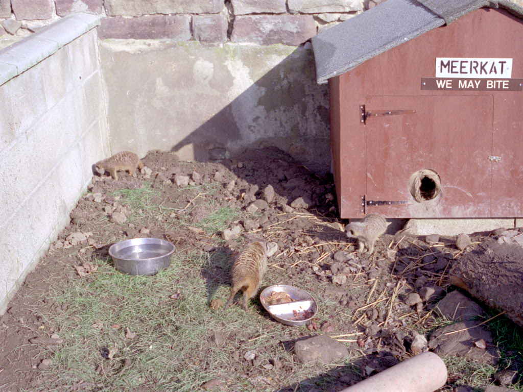 Riber Castle Wildlife Park - mid-1990s