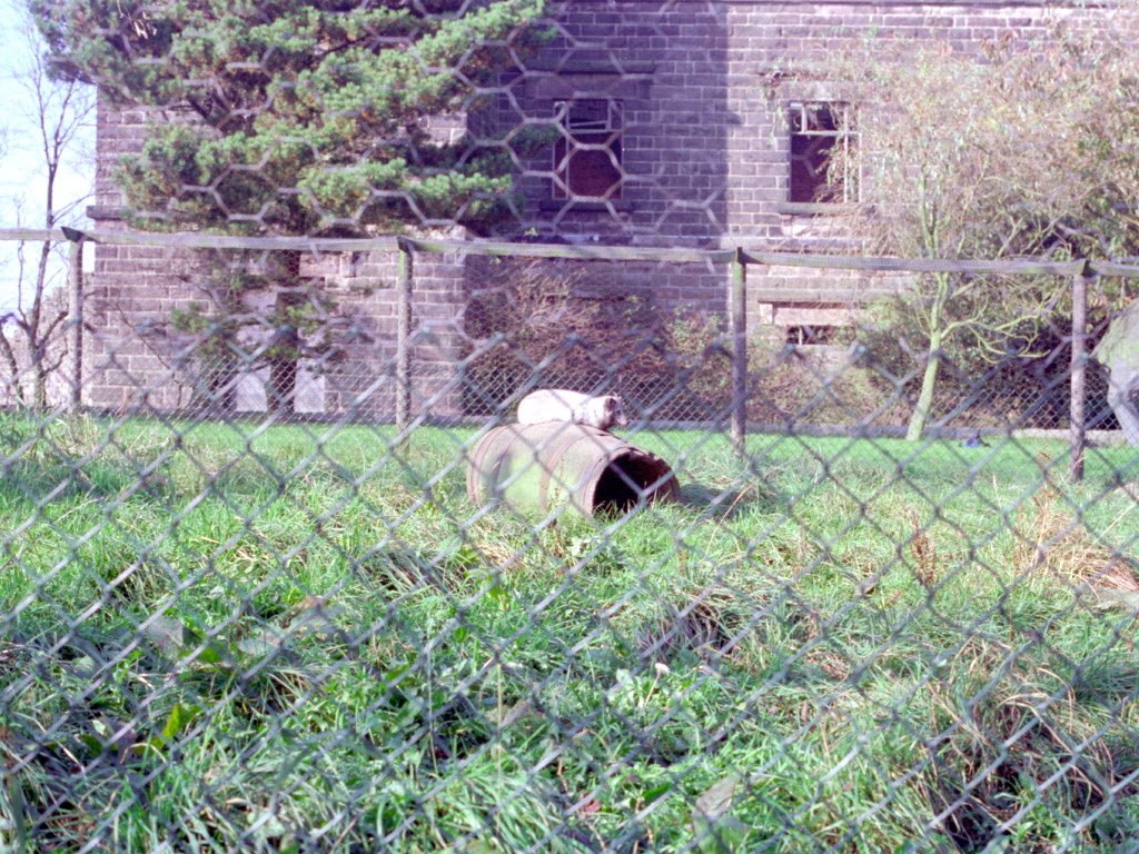 Riber Castle Wildlife Park - mid-1990s