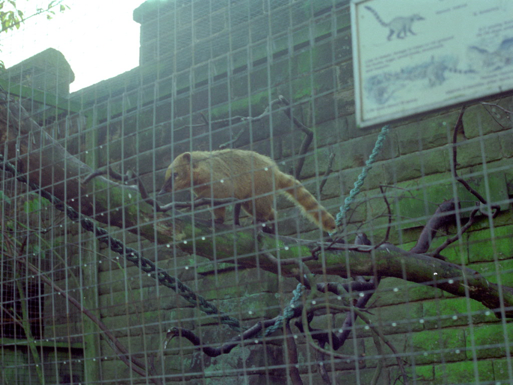 Riber Castle Wildlife Park - mid-1990s