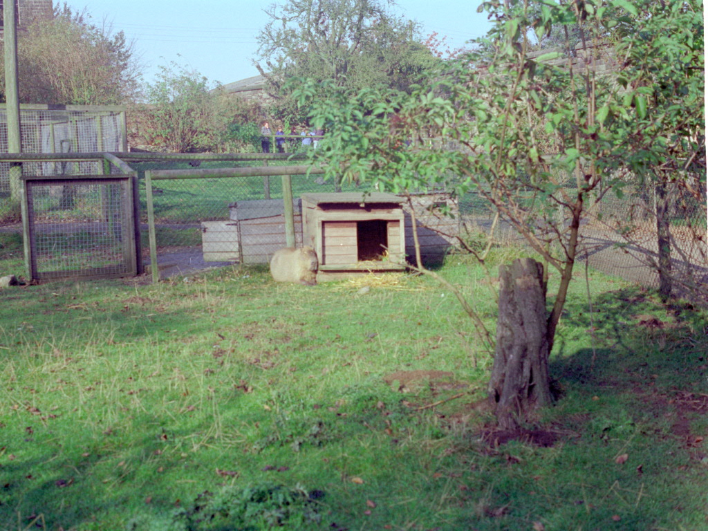 Riber Castle Wildlife Park - mid-1990s