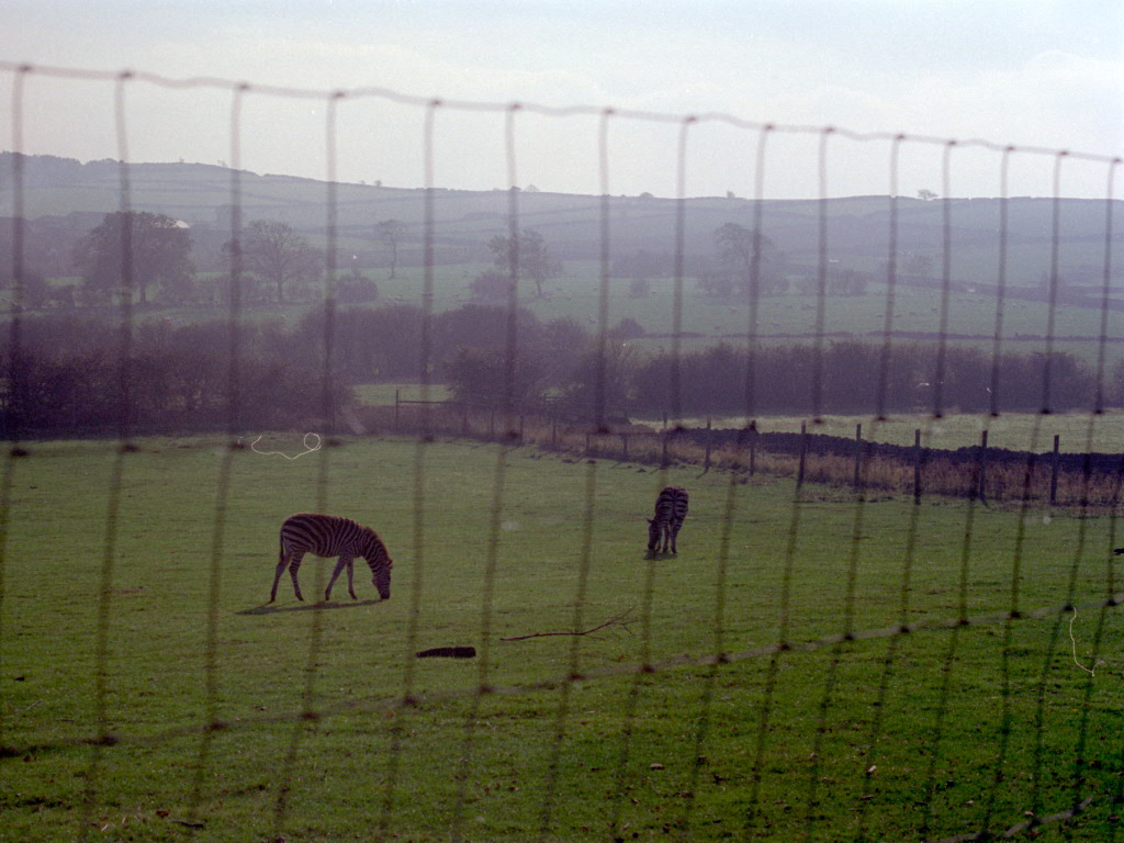 Riber Castle Wildlife Park - mid-1990s