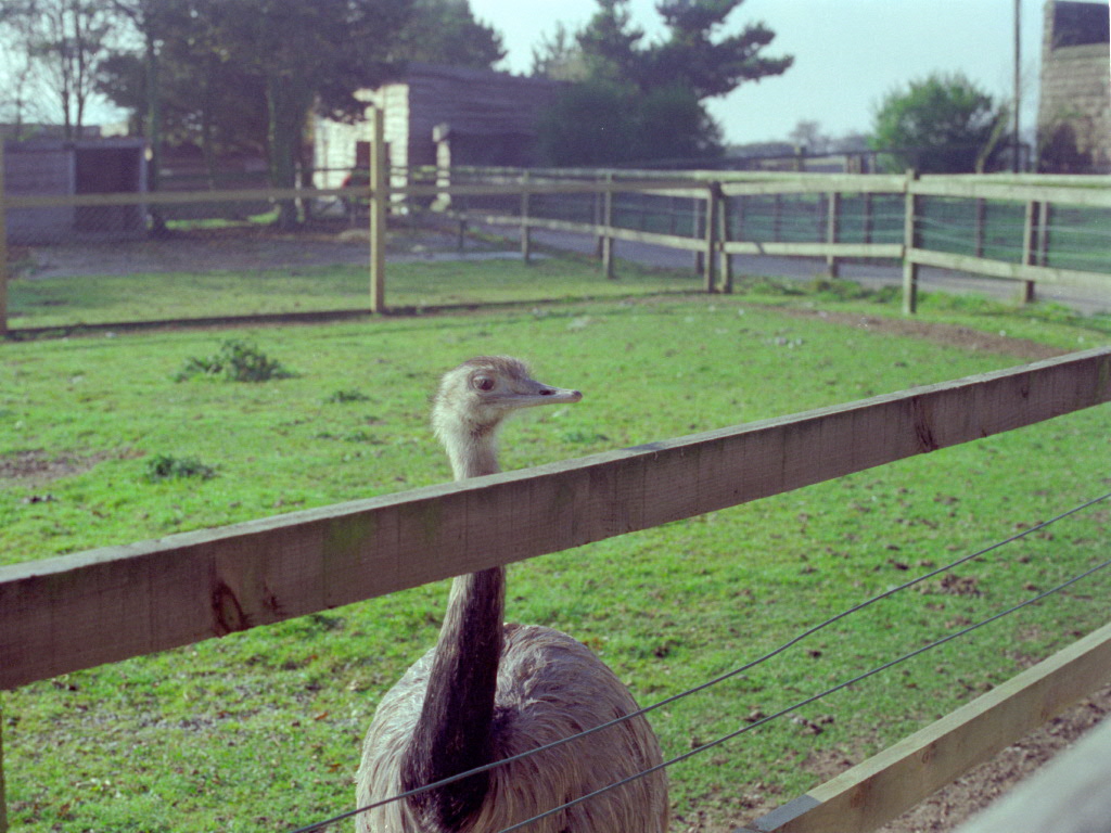 Riber Castle Wildlife Park - mid-1990s