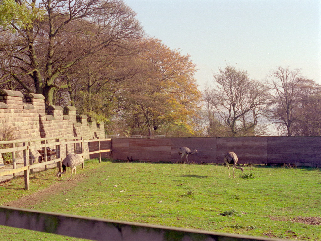 Riber Castle Wildlife Park - mid-1990s
