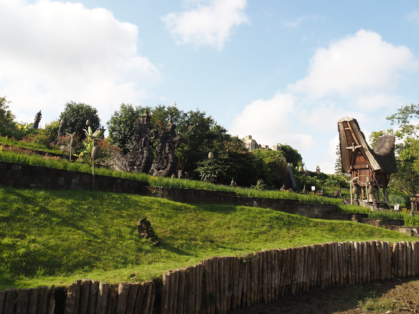 Rice fields, 2024-09-17