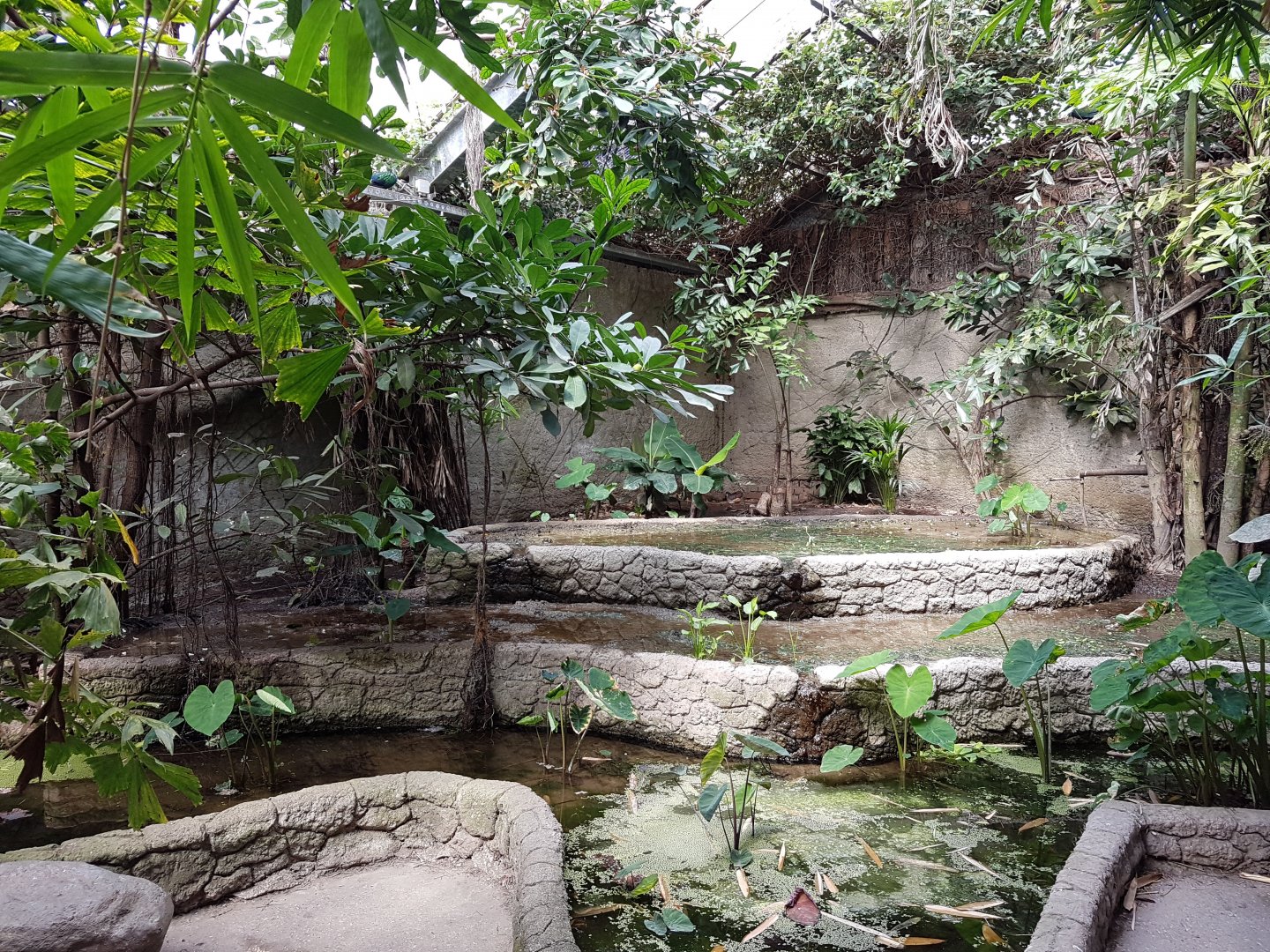 Rice-fields Philippine Hall