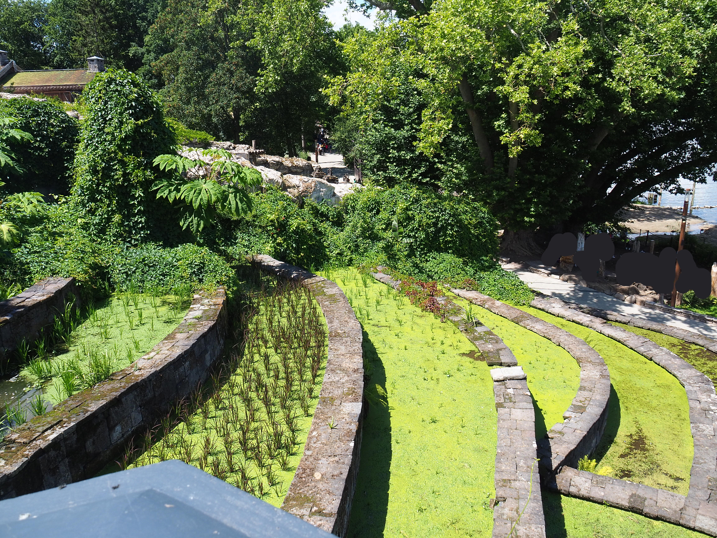 Rice terraces theming in The Kingdom of Ganesha, 2022-06-28