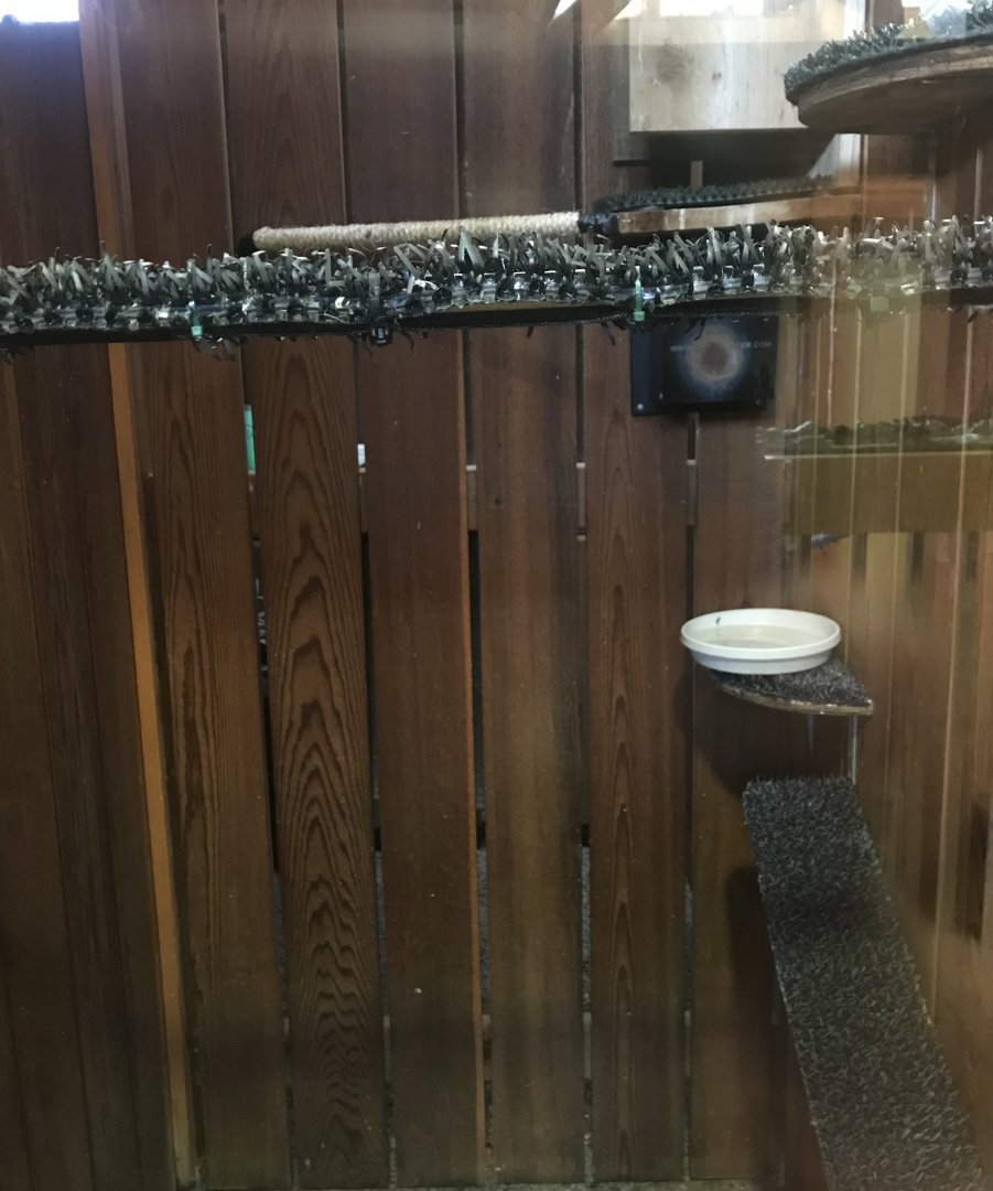 Richardson Nature Center - American Kestrel Exhibit