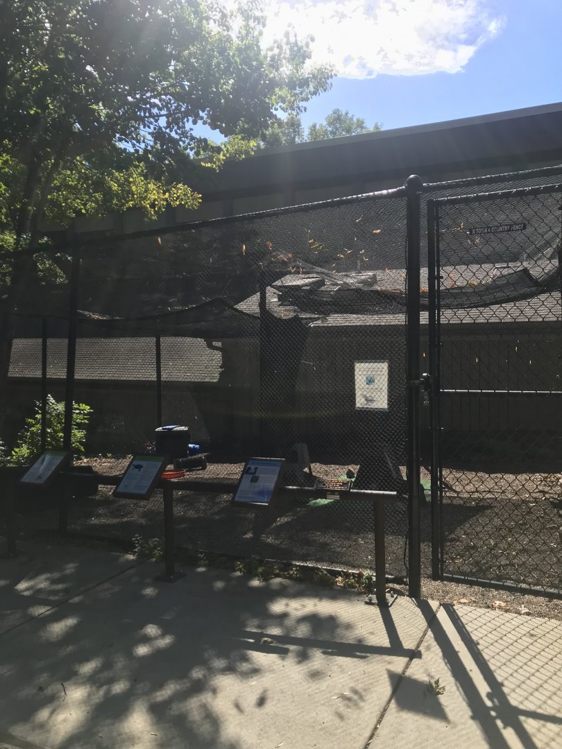 Richardson Nature Center - Broad-Winged Hawk/American Kestrel/False Map Turtle/Painted Turtle Exhibit