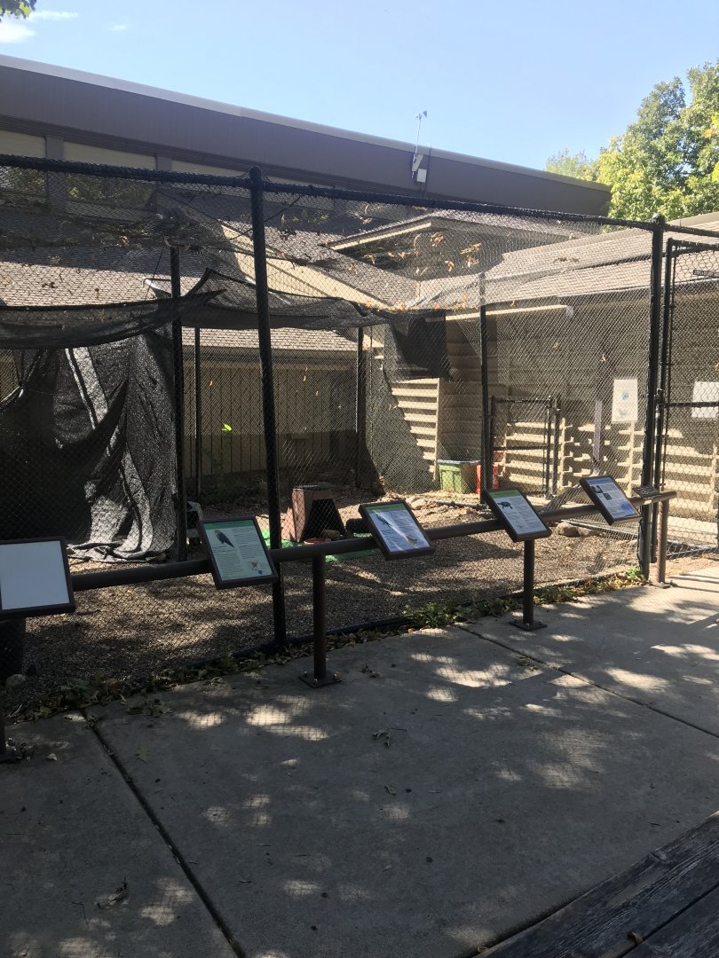 Richardson Nature Center - Broad-Winged Hawk/American Kestrel/False Map Turtle/Painted Turtle Exhibit