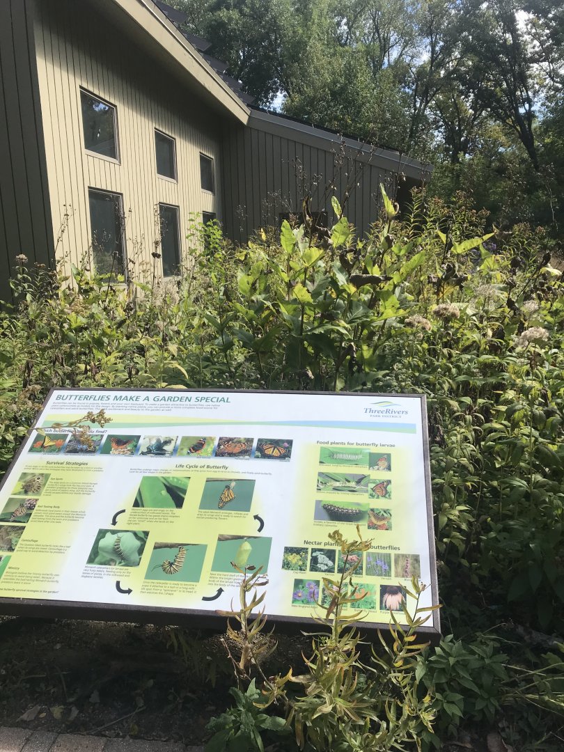 Richardson Nature Center - Butterfly Garden