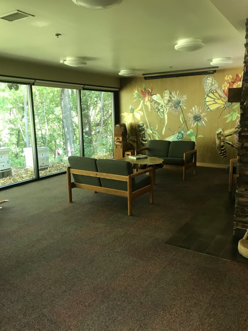 Richardson Nature Center - Honey Bee Room