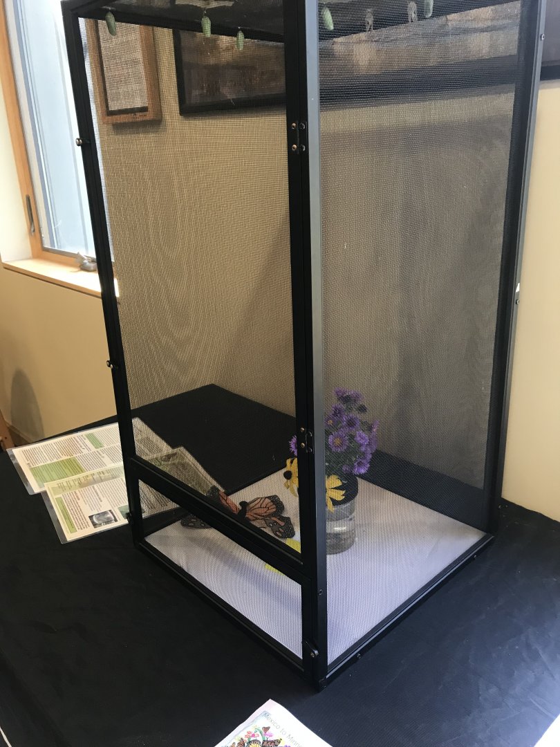 Richardson Nature Center - Monarch Butterfly Exhibit