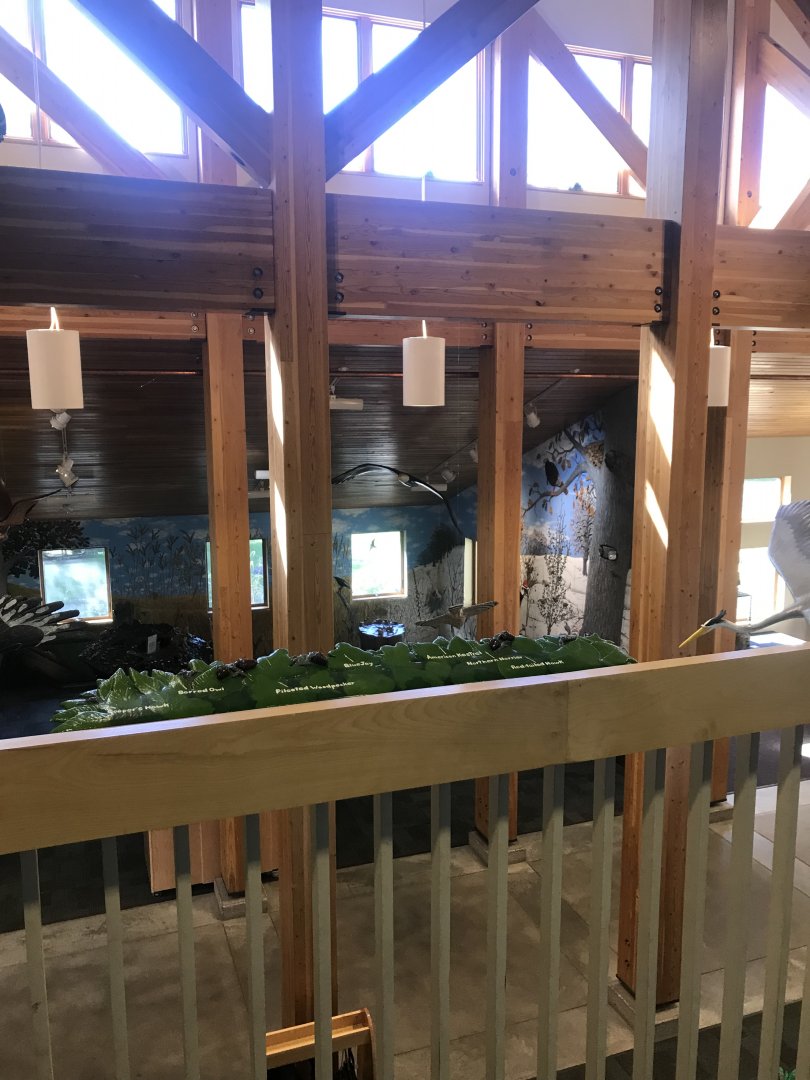 Richardson Nature Center - Overview of Main Hall