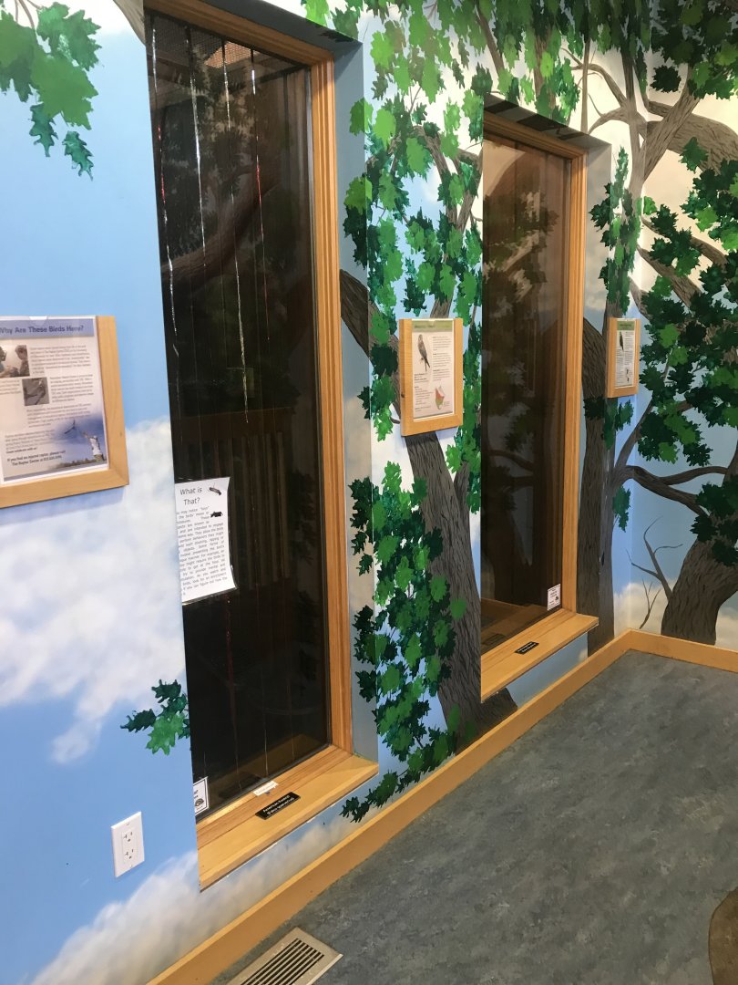 Richardson Nature Center - Raptor Mews