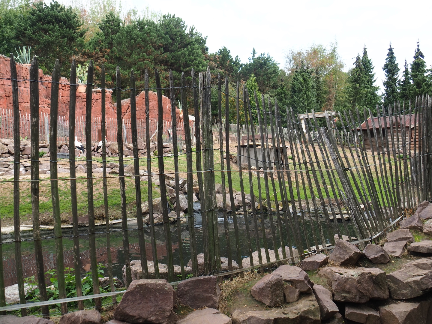 RIckety fencing and stinky pool in the "Australian" exhibit (Aug 28th, 2018)