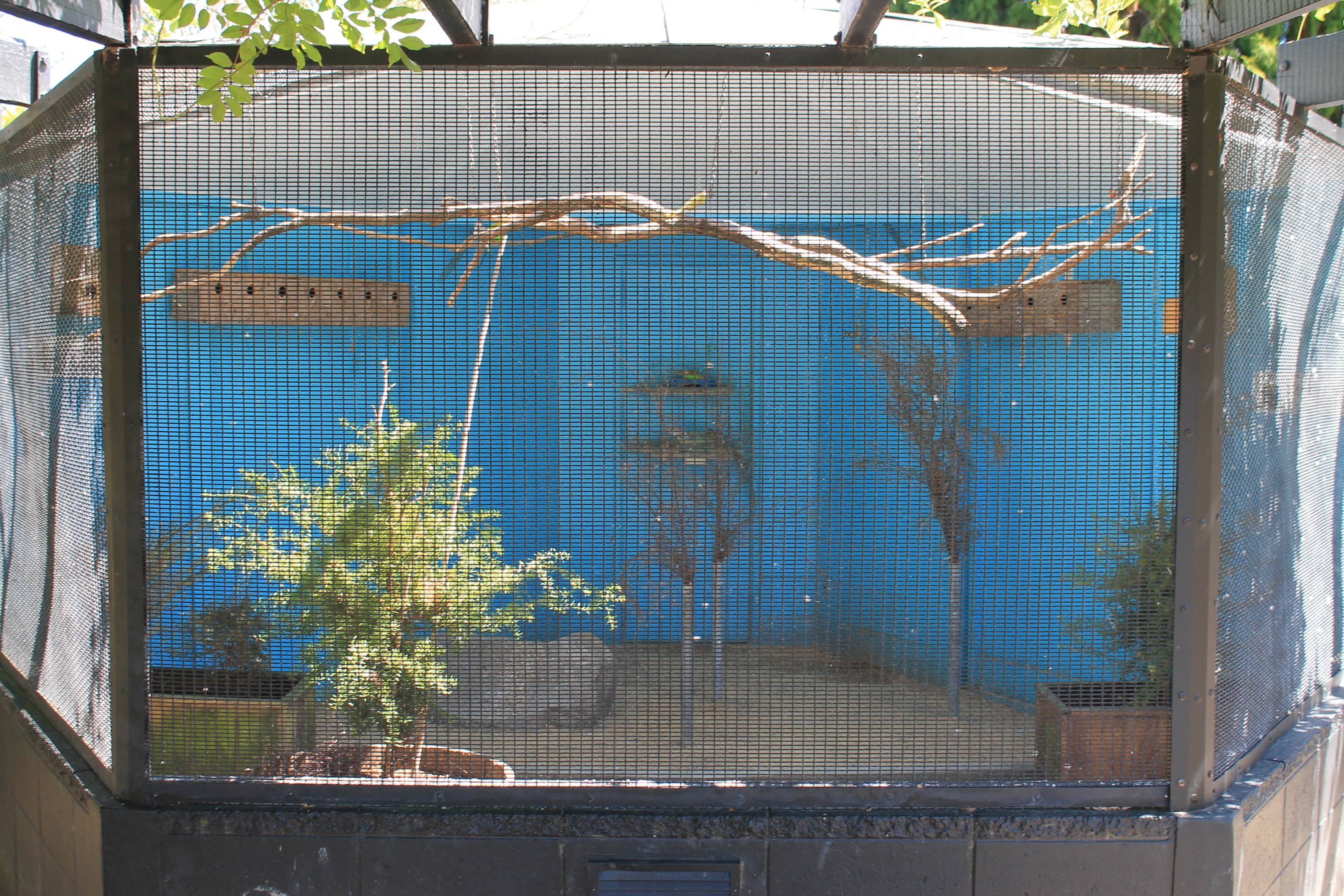 Riddiford Garden aviary