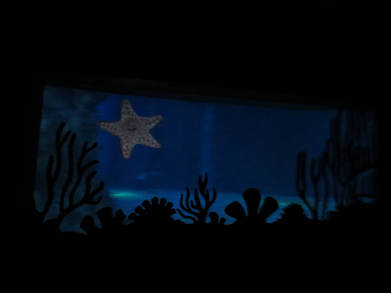 Ride viewing window, March 2015