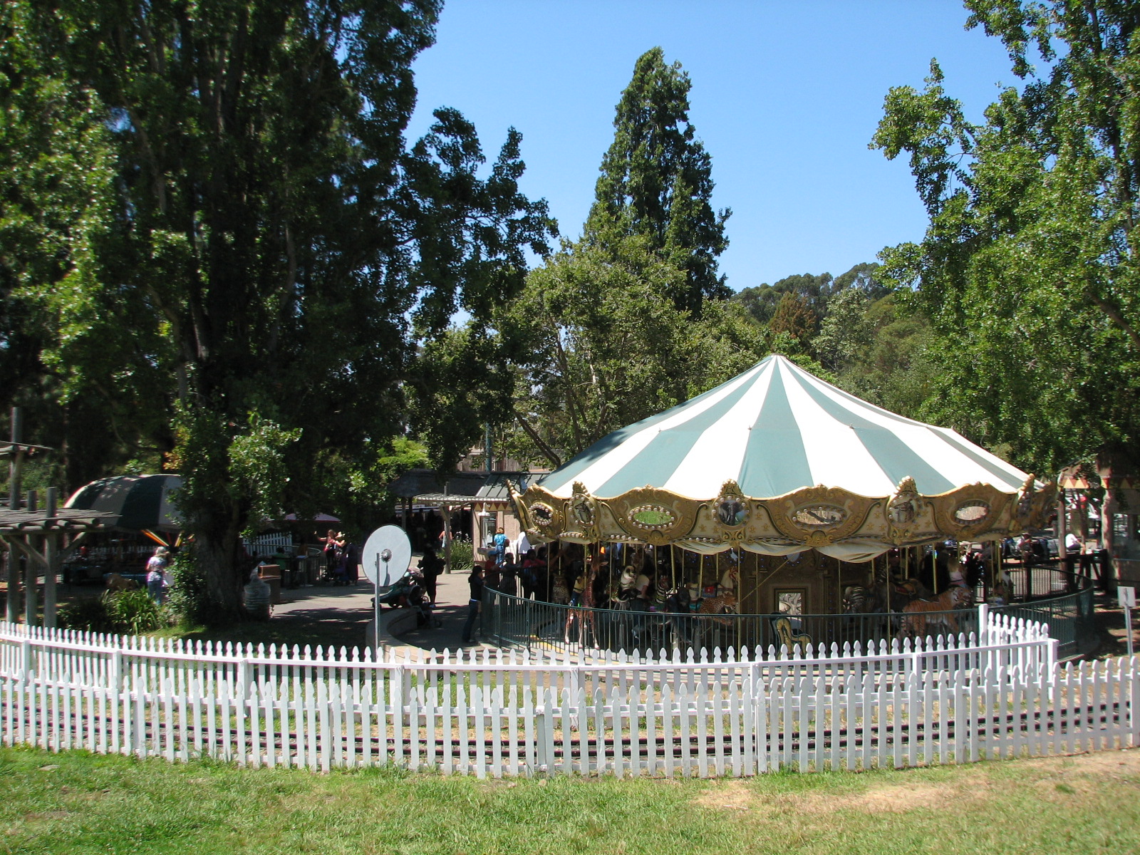 Rides Area - Carousel