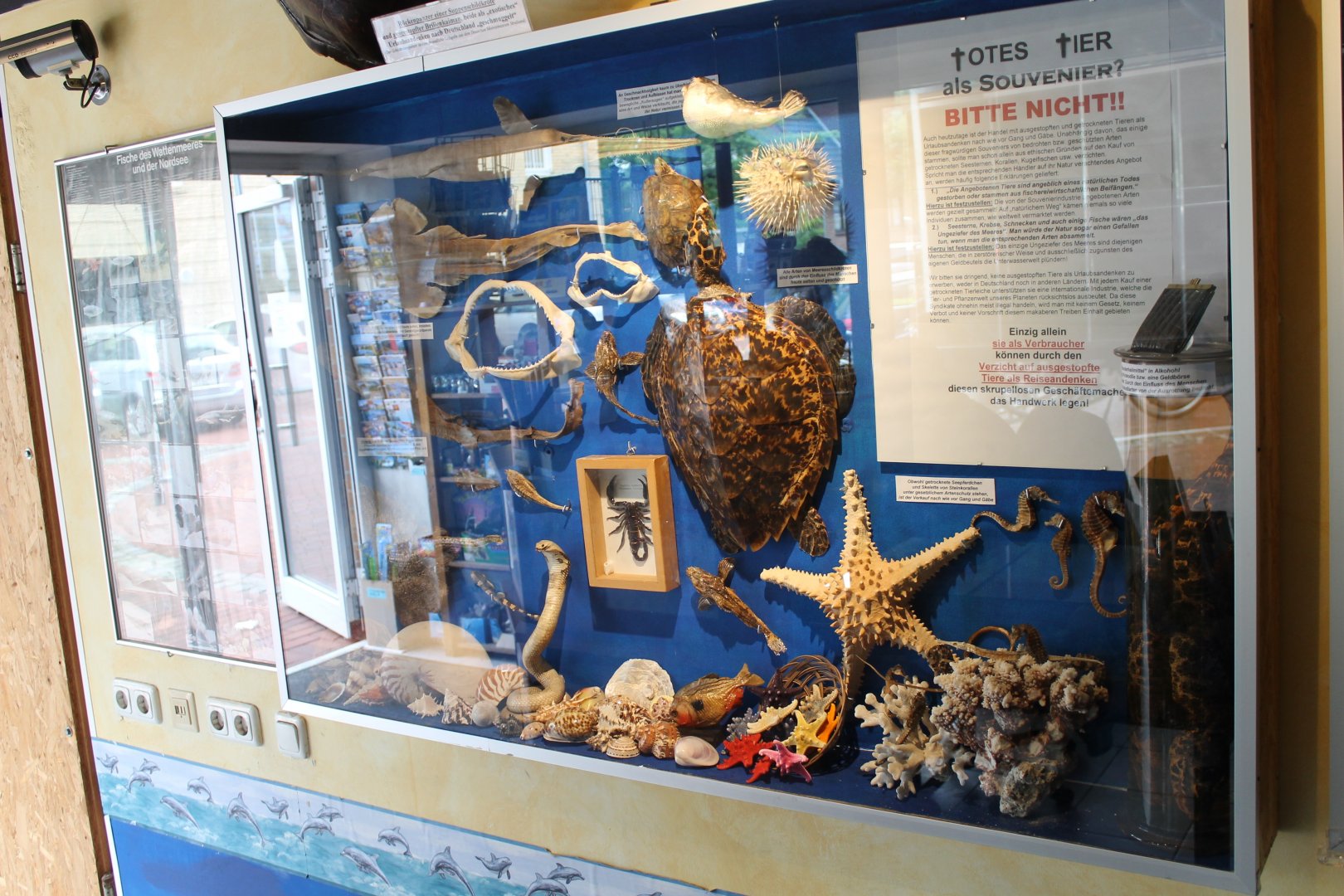 Ridiculous souvenirs