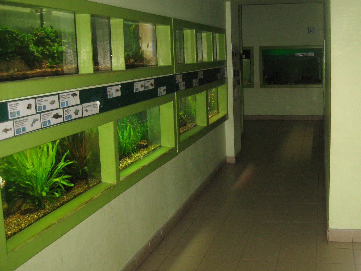 Riga Zoo - Aquarium