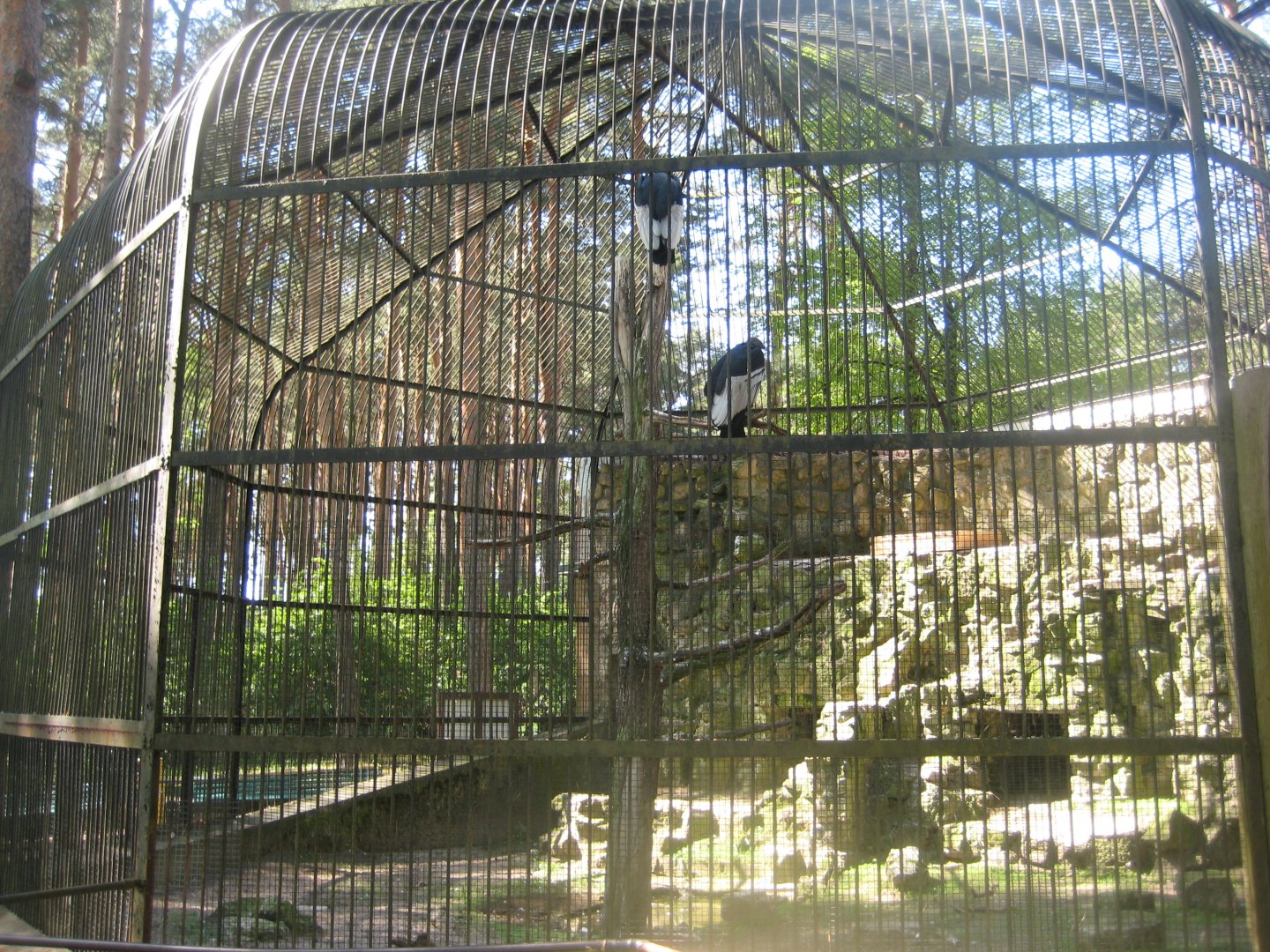 Riga Zoo - Condor aviary