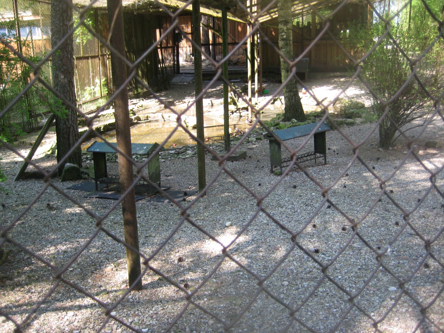 Riga Zoo - Duck aviary