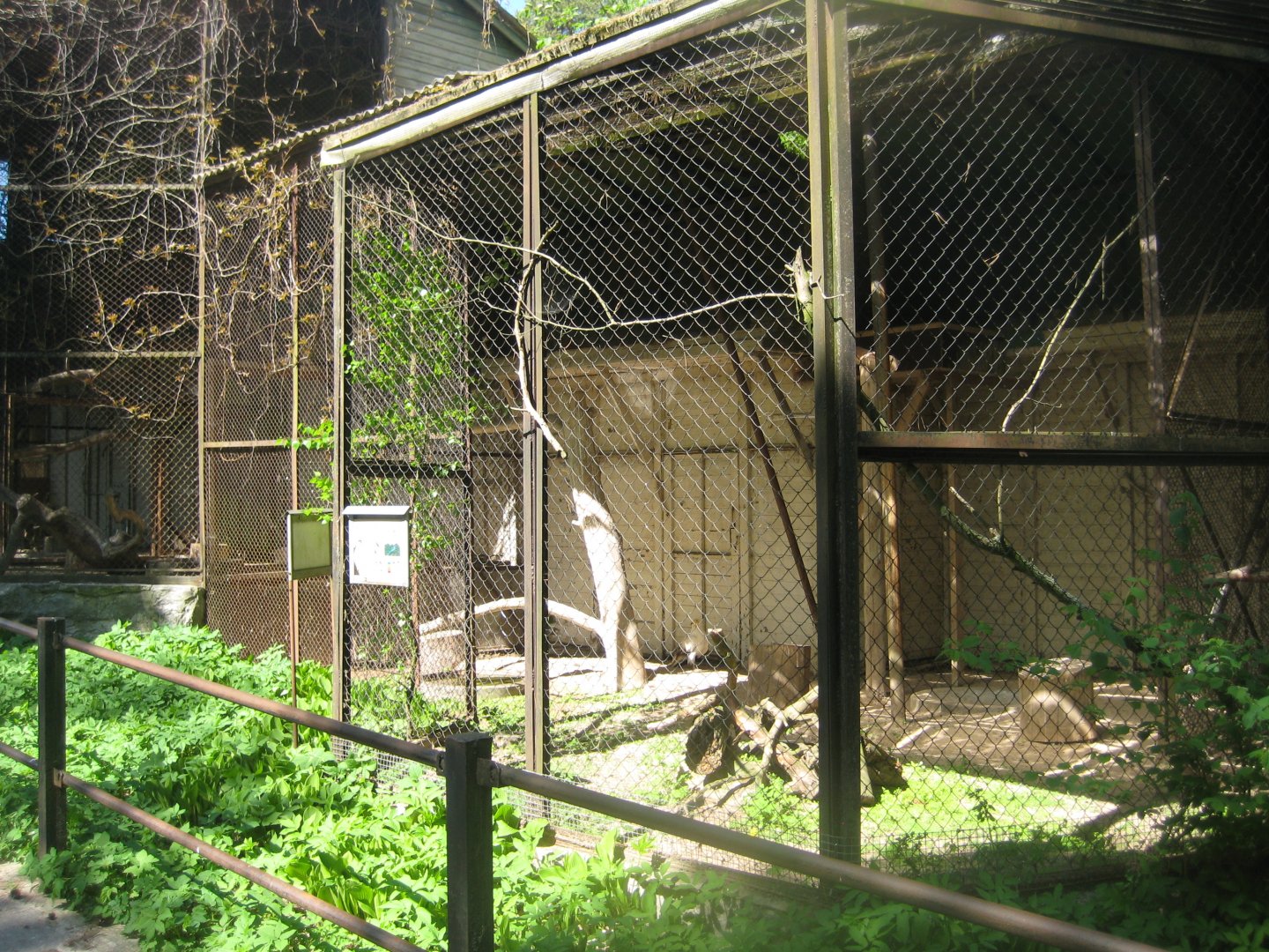 Riga Zoo - Egyptian vulture aviary