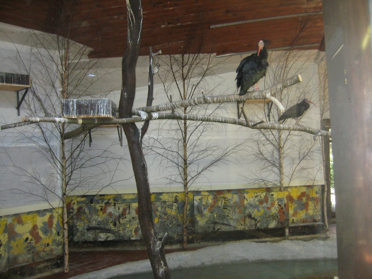 Riga Zoo - Flamingo house - Wading bird indoor exhibit