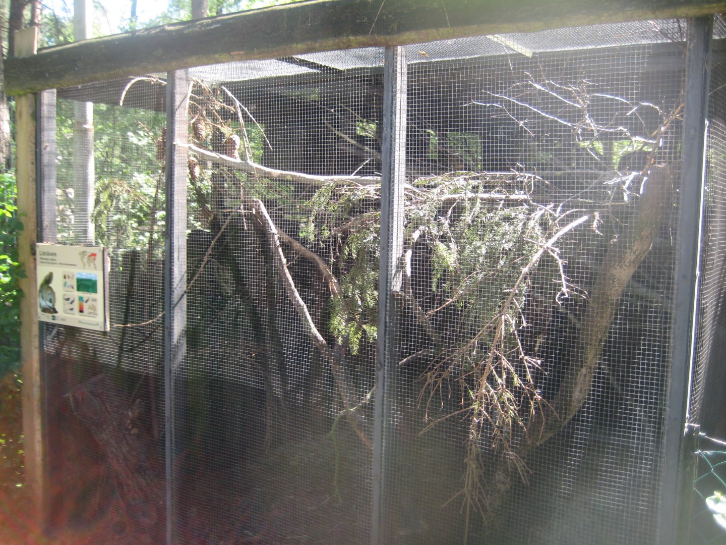 Riga Zoo - Flying squirrel exhibit