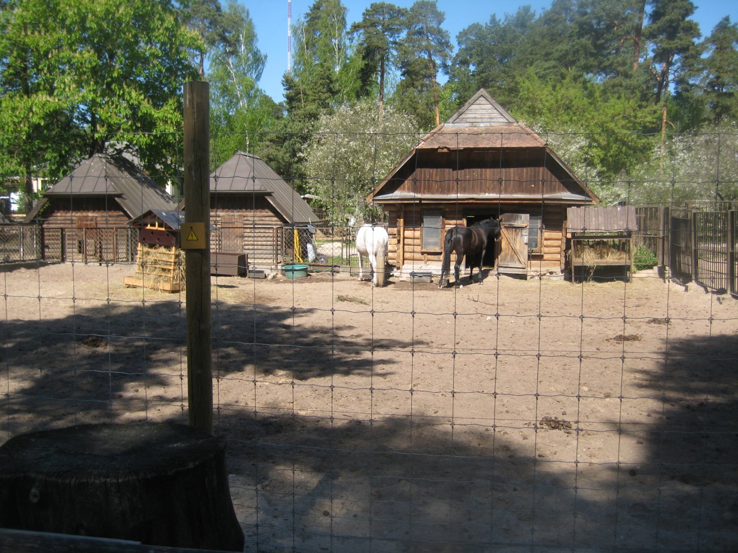 Riga Zoo - Horse exhibit