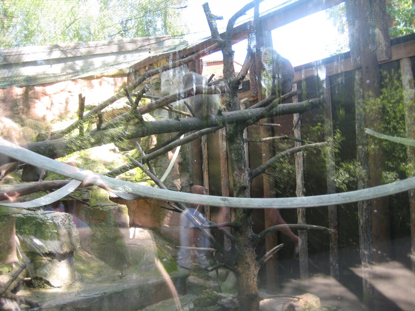 Riga Zoo - Macaque exhibit
