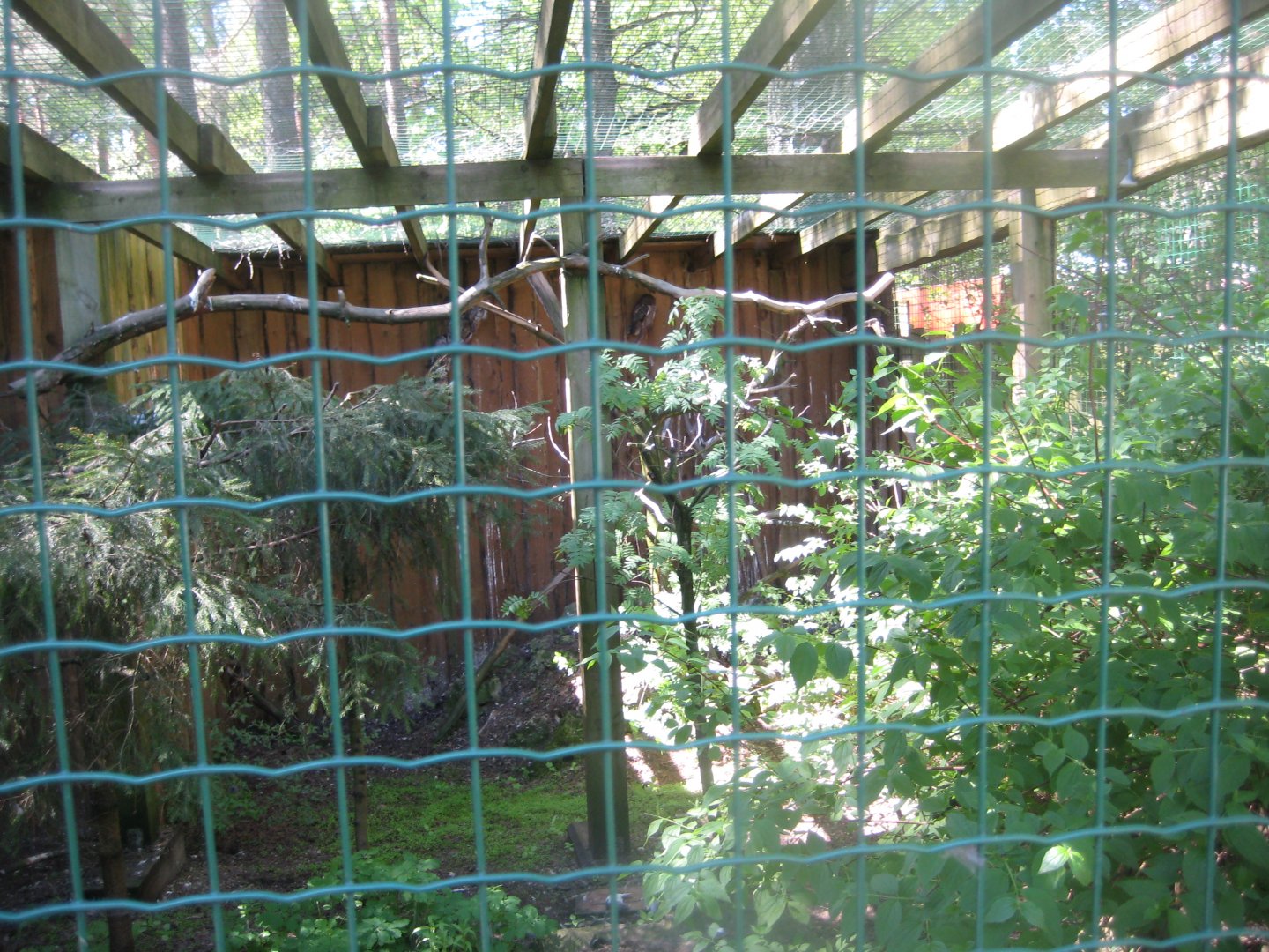 Riga Zoo - Owl aviary #1