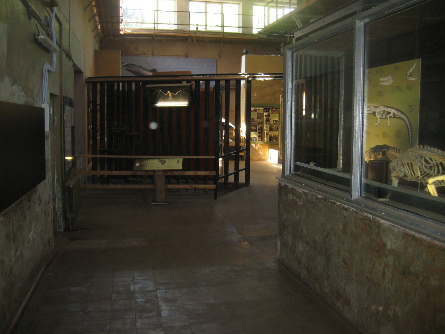 Riga Zoo - Pachyderm house