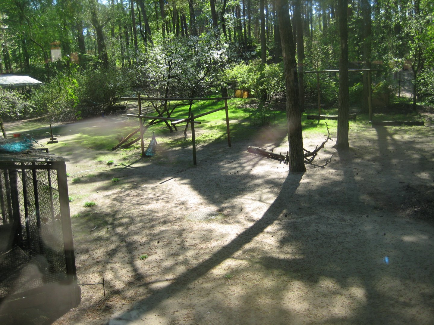 Riga Zoo - Peafowl/stork aviary