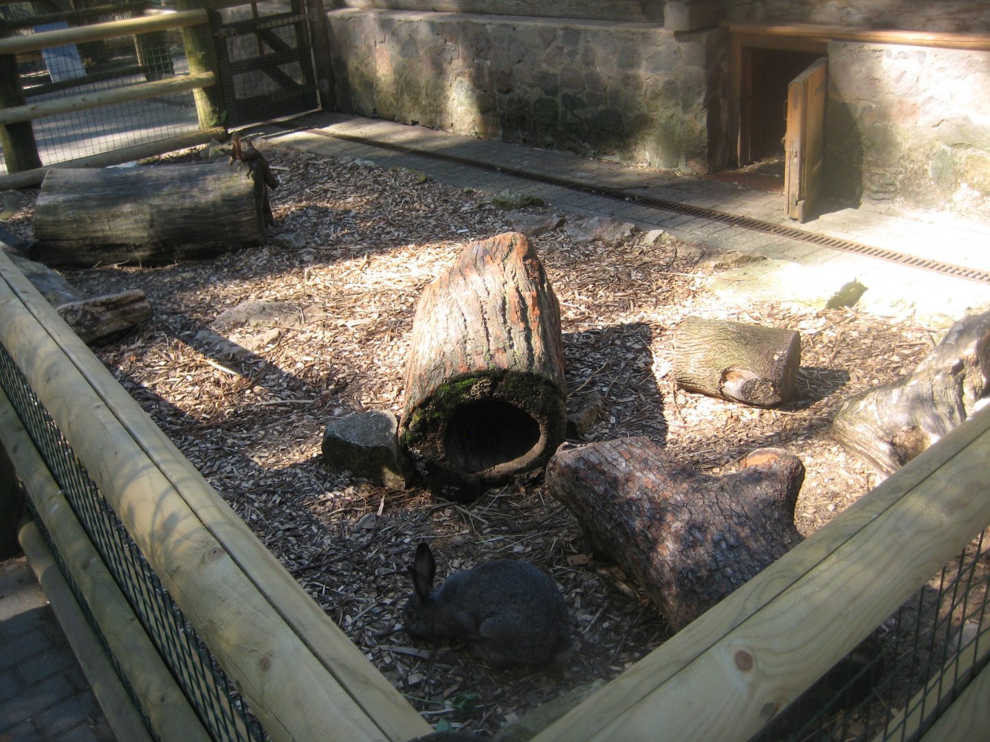 Riga Zoo - Petting zoo - Rabbit exhibit (outdoor)