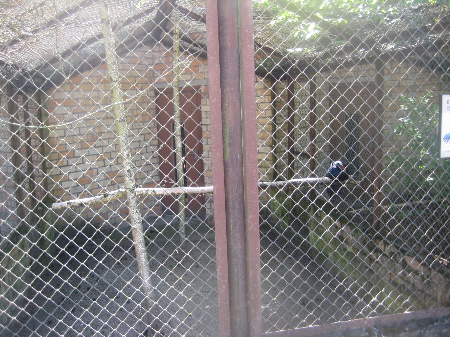 Riga Zoo - Pheasant aviary #1