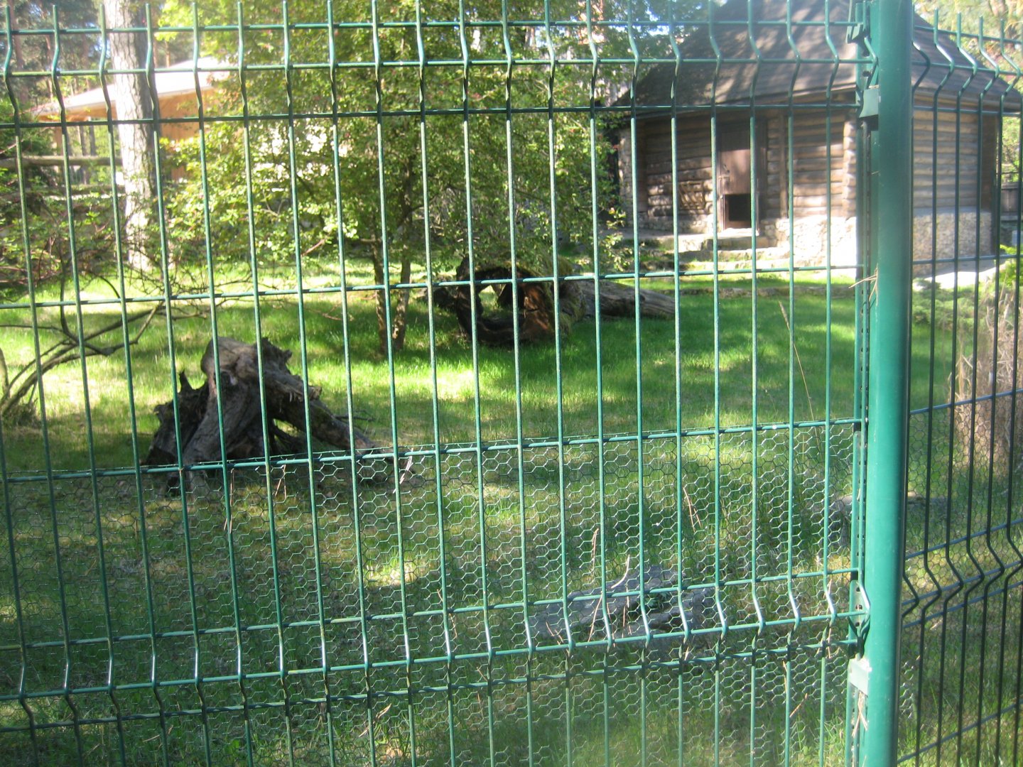 Riga Zoo - Pudu exhibit