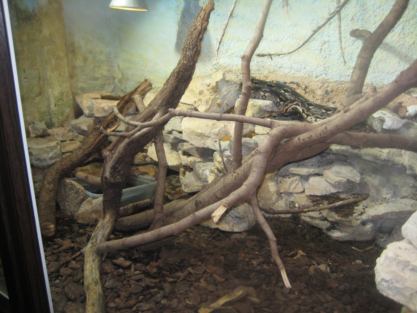 Riga Zoo - Reptile house - Boa exhibit