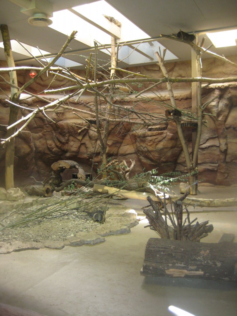 Riga Zoo - Reptile house - Meerkat/hyrax exhibit