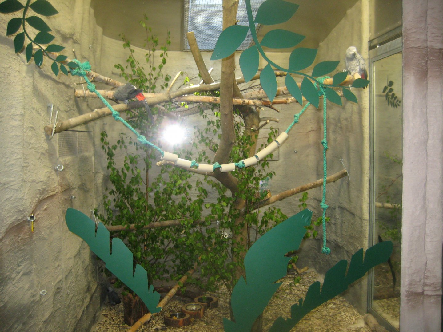 Riga Zoo - Reptile house - Parrot exhibit
