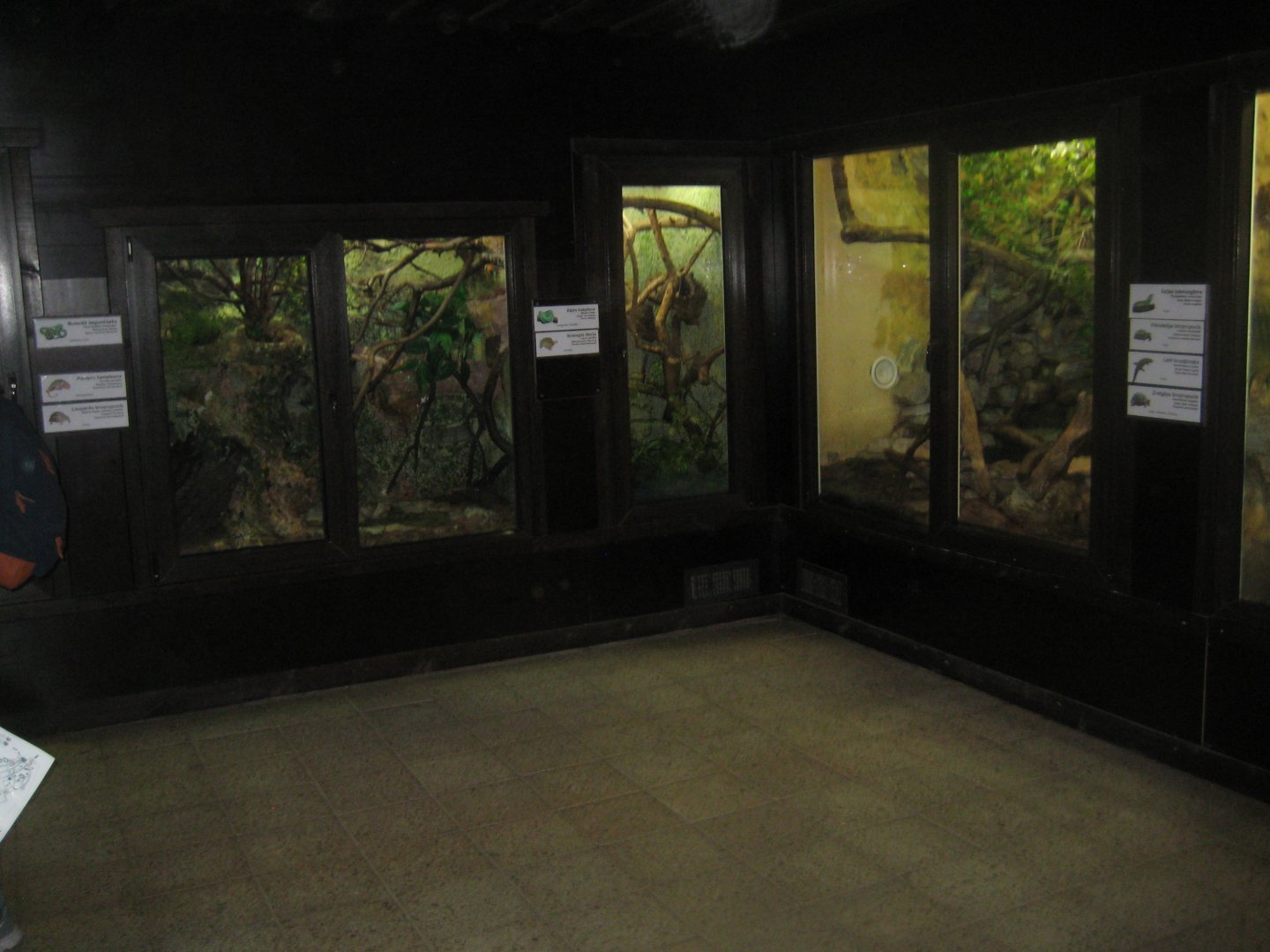 Riga Zoo - Reptile house