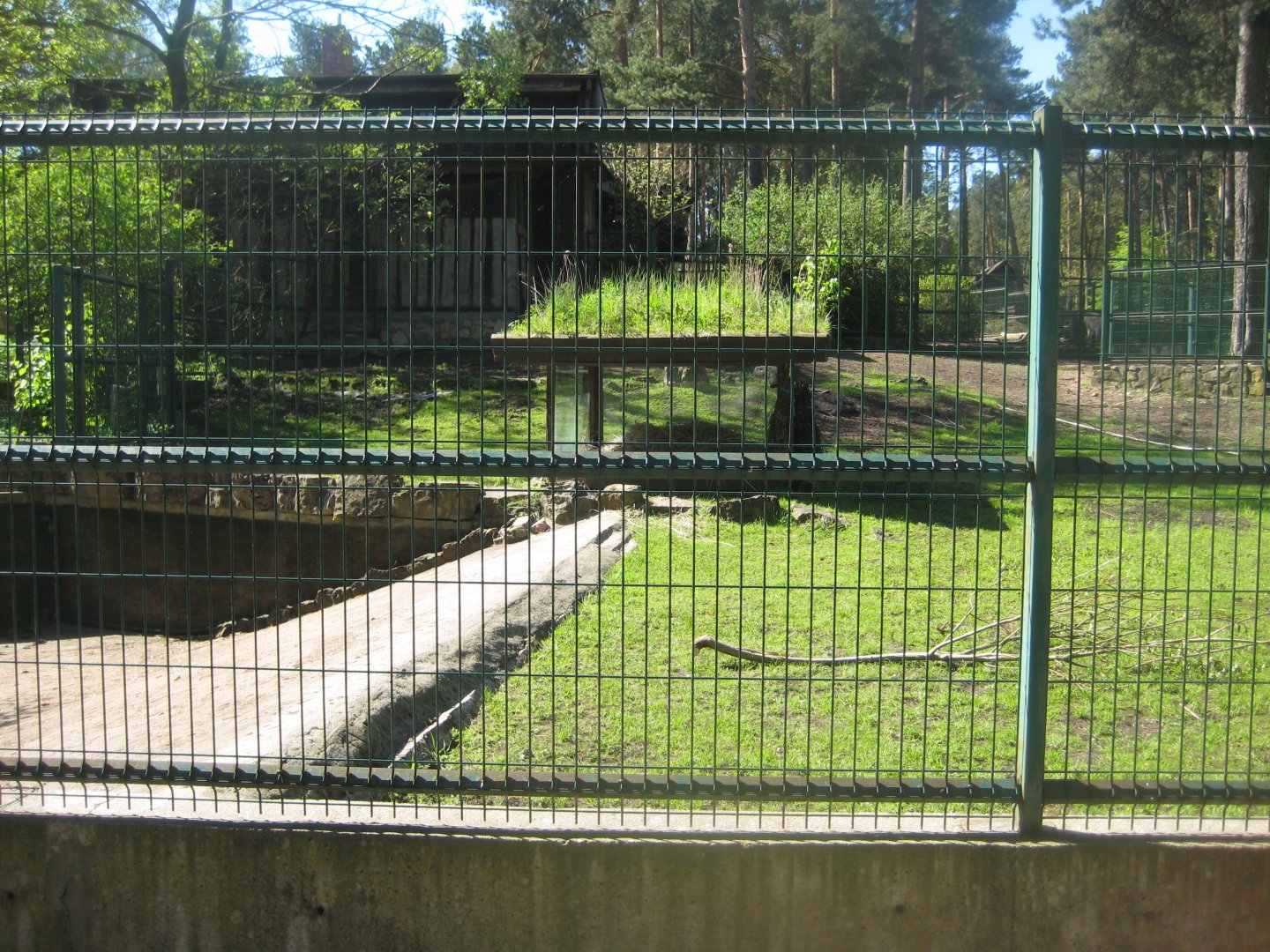 Riga Zoo - Tapir exhibit