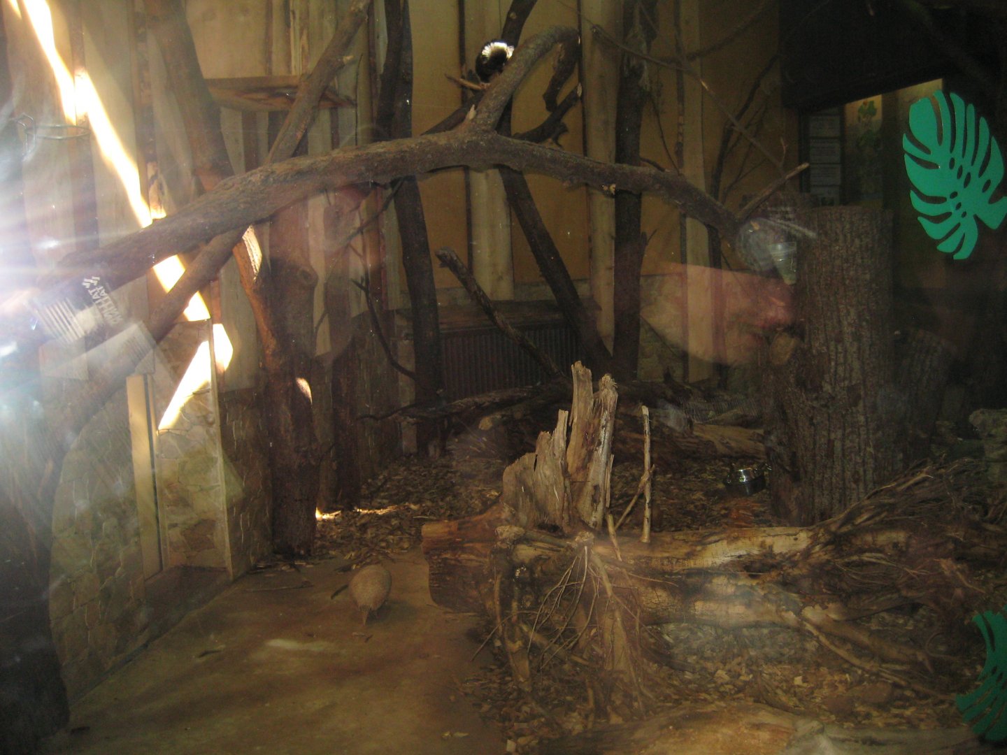 Riga Zoo - Tropical house - South American exhibit